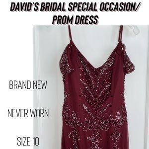 NWT David’s Bridal Special Occasion/Prom Dress